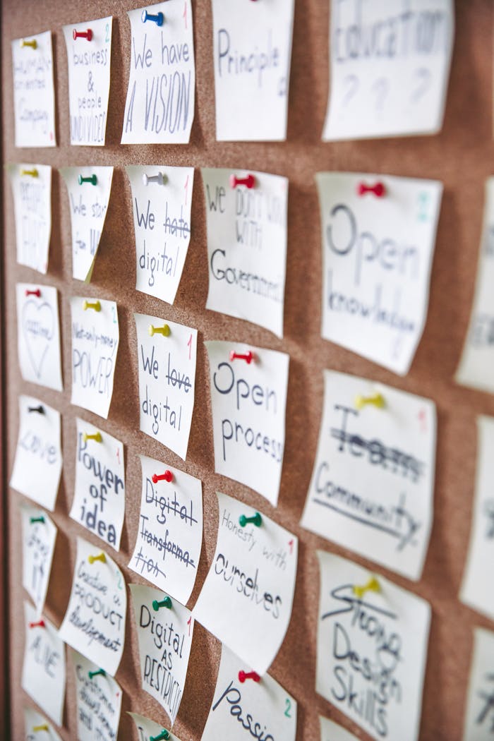 portfolio-02 Array of sticky notes pinned on corkboard with business ideas and goals.